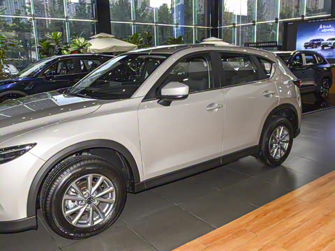 2025�� 2.0L �Զ�����������