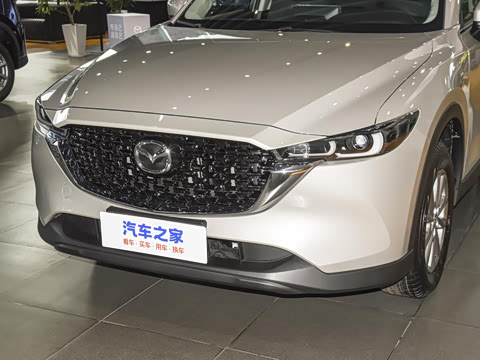 2025�� 2.0L �Զ�����������