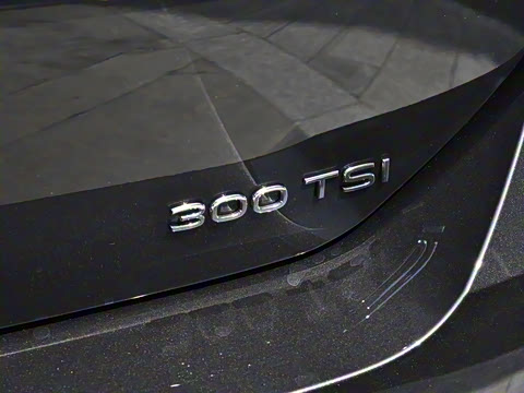 2026�� L 300TSI DSG ������