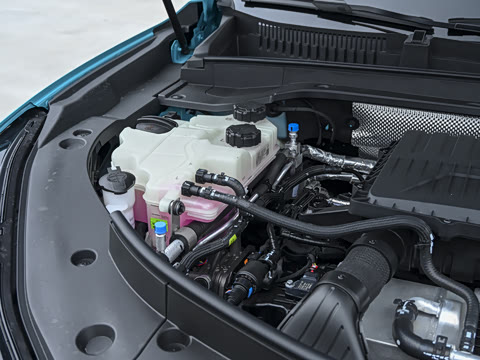 2026�� ���� �����