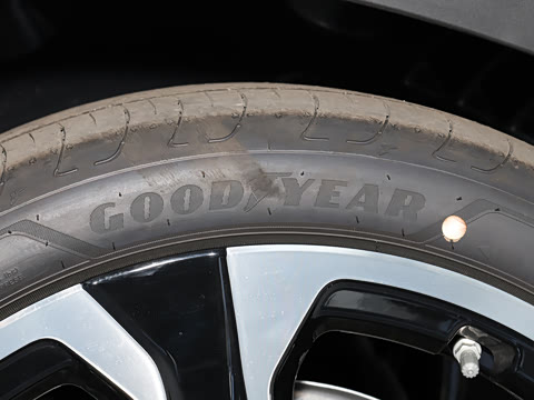 2025�� ʢװ�貽�޶���