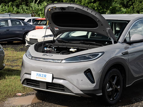 2026�� DM-i 220������