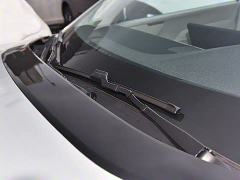 2026�� ������������Plus