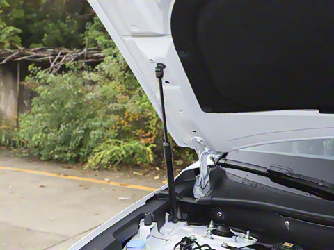 2026�� ȫ��30����ҫ�� 2.0L e:HEV �������