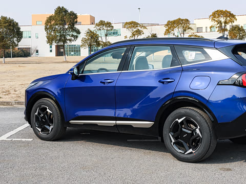 2026�� ����������