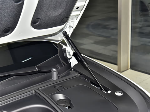 2026�� ���������������ر��