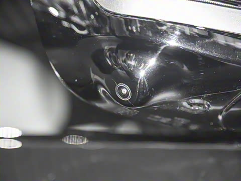 2025�� ����200 Max