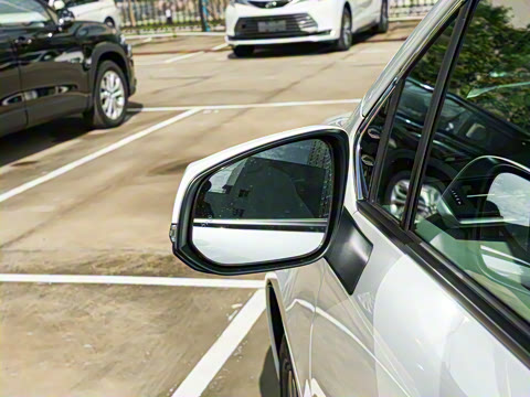 2026�� 2.5L ˫����������