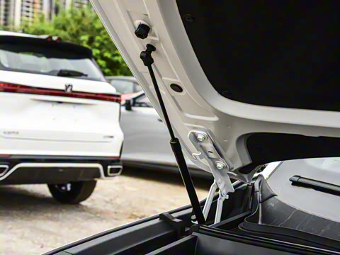 2025�� 215����������