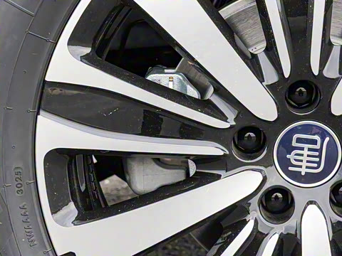 2025�� �Ǽݰ� DM-i 175KM ������