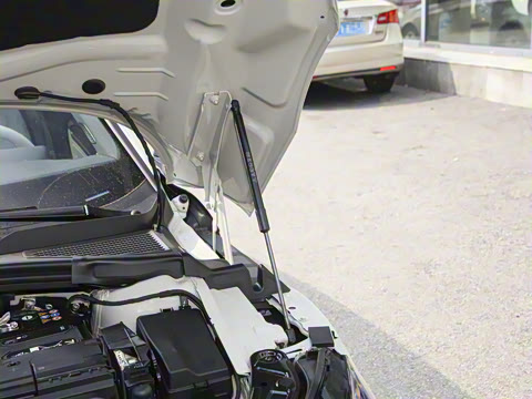 2026�� ���L 300TSI �趯��