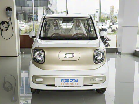 2026�� 222km ������