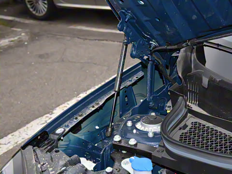 2025�� SE ������