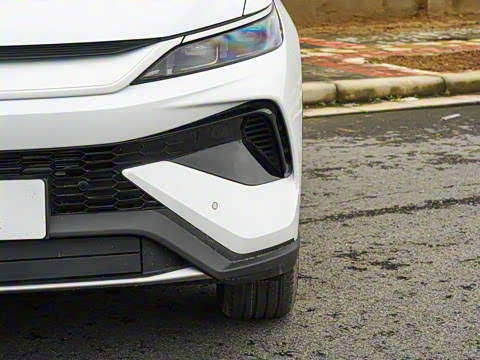 2026�� DM-i 133KM��Խ��