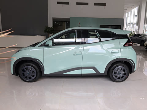2026�� 305km ������