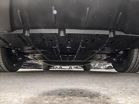 2026�� ������ JOY