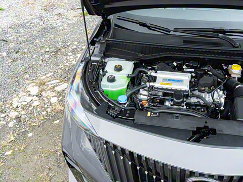 2026�� Ӱ�� 270T ��ȡ��