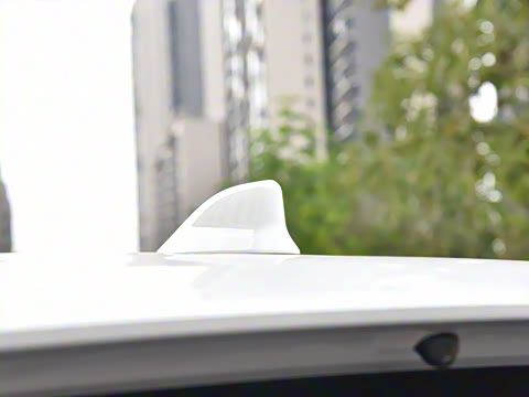 2026�� 2.5L ˫����������