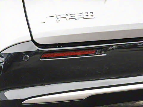 2026�� 2.5L ˫��������������