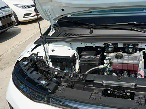 2025�� 550������