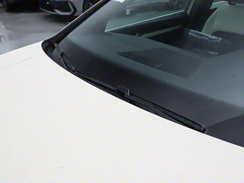 2025�� �Ŀ� 300TSI Pro