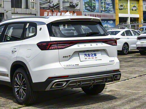 2025�� 290T ��������+