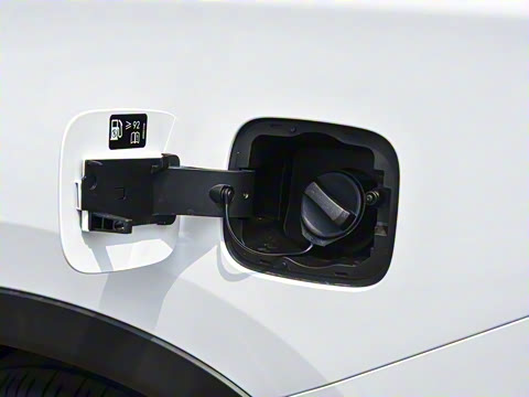 2025�� 290T ��������+