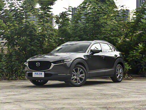 2025�� 2.0L �Զ�������