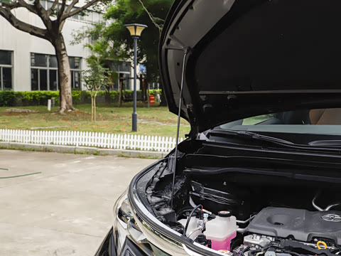 2026�� 2.5L ����׿��318��