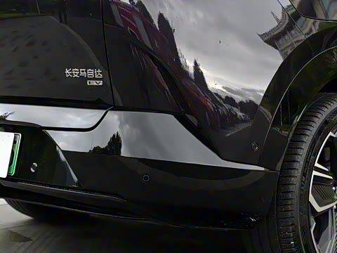 2025�� ����600 Max