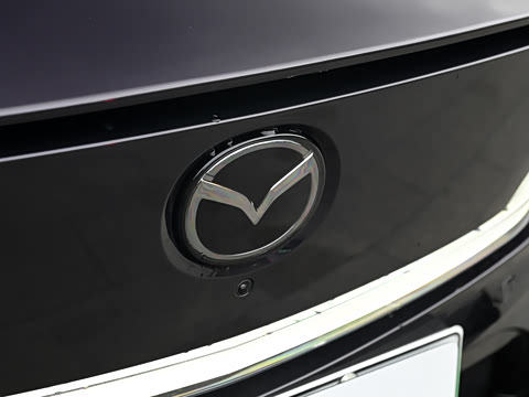 2025�� ����600 Max