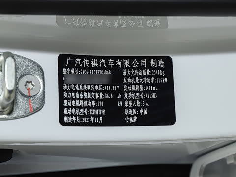 2025�� 205km Pro+�����״��