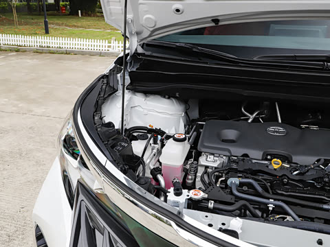2026�� 2.5L ����׿��318��