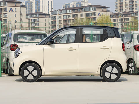 2026�� ����� 205km ���׿�