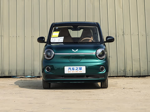 2026�� ����� 205km ������