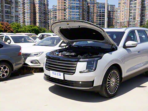 2026�� 2.0TD �Զ���Ӣ 5��