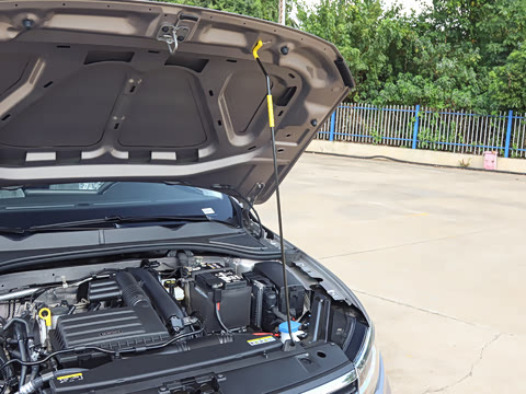 2025�� �Ŀ� 200TSI DSG���е�����