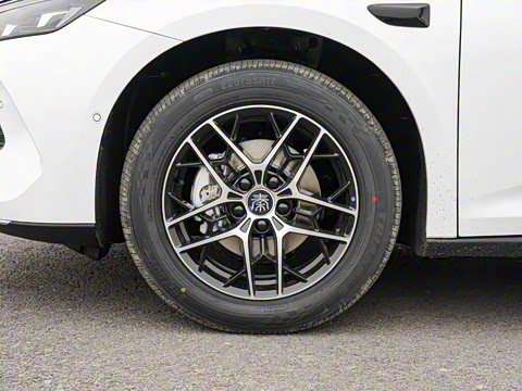 2026�� DM-i 210KM��Խ��