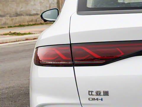 2026�� DM-i 210KM��Խ��