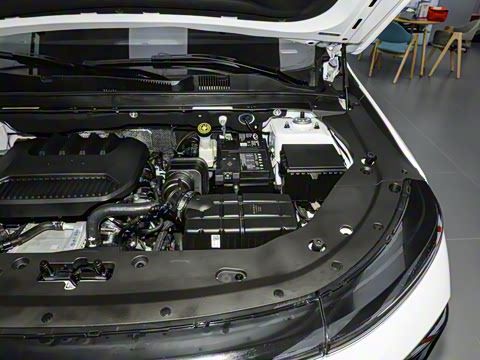 2025�� 1.5T �������Ȱ� 5��