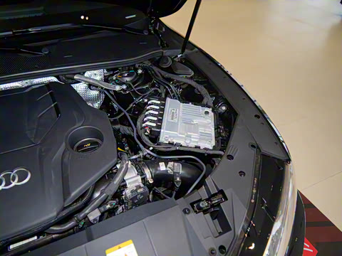 2025�� 55 TFSI quattro ����ʿ��