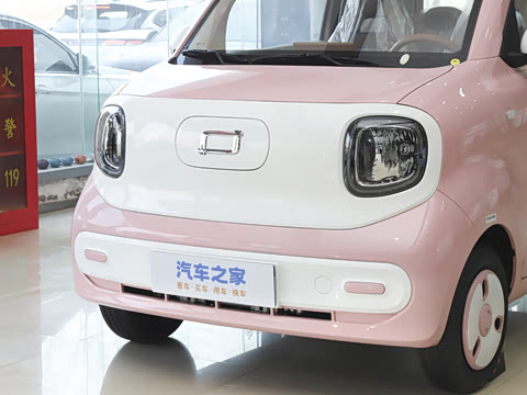 2026�� 222km ������