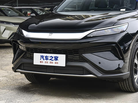 2026�� DM-i 220KM��Խ��