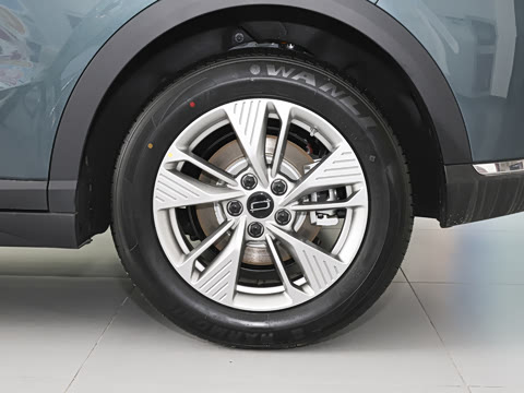 2026�� 565km ������