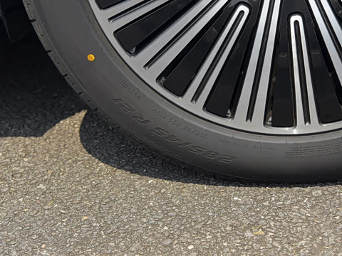 2025�� ���� Max+ ������������ 