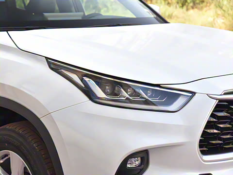 2026�� 2.5L���ܵ��˫��������Ӣ�� 7��