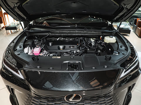 2026�� 350h ����������