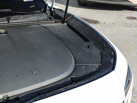 2026�� ����Max