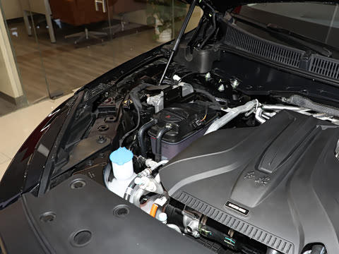 2025�� �Ŀ� 2.0T PHEV ���������� 6��