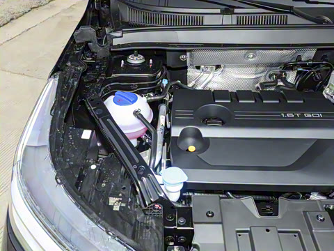 2025�� 290T ��������+